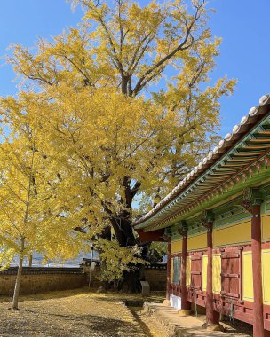 Çin şehrinin tapınağı.