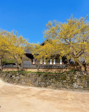 Doğa ve şehir manzarası 