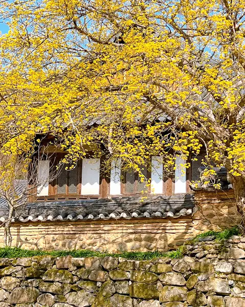 Parkın güzel manzarası