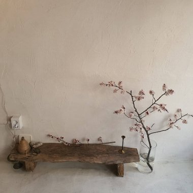 Bahçedeki güzel çiçekler