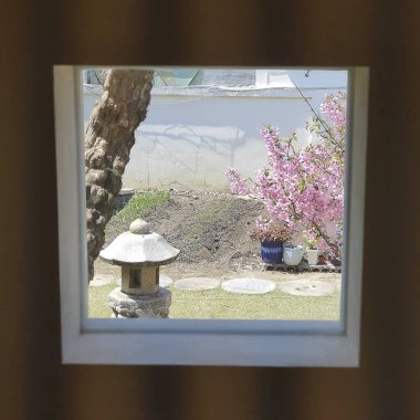 Güzel botanik fotoğrafı, doğal duvar kağıdı.