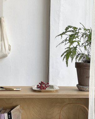 Bir bitkinin yanındaki rafta bir tabak üzüm.