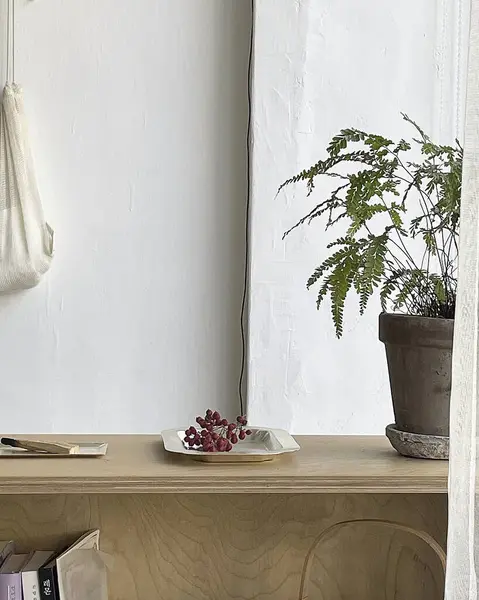 Bir bitkinin yanındaki rafta bir tabak üzüm.