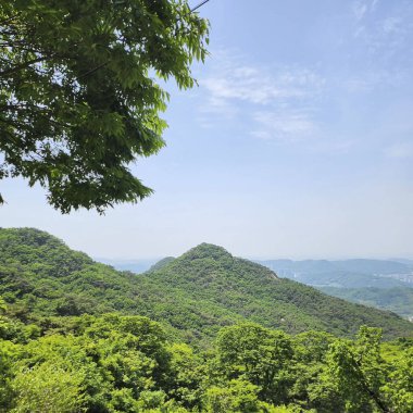 Dağların güzel manzarası