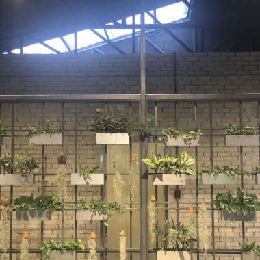 Güzel botanik fotoğrafı, doğal duvar kağıdı.