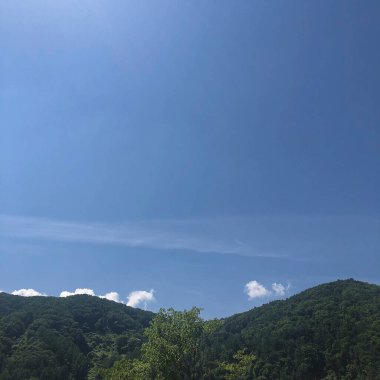 Güzel bir manzara Ağacı ve mavi gökyüzü