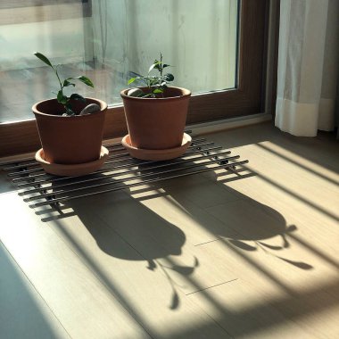 Modern bir evin içinde.