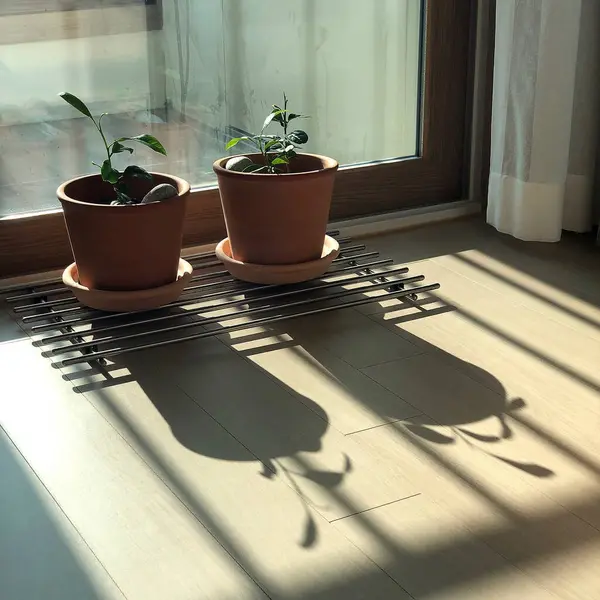 Modern bir evin içinde.