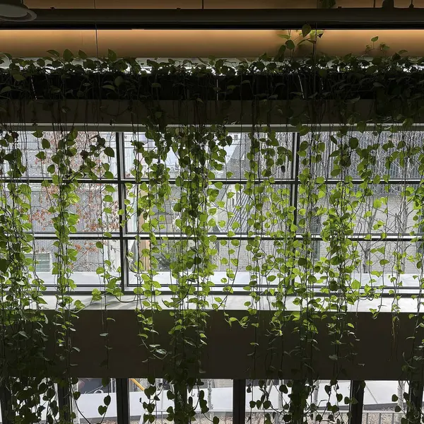 Modern binada yeşil bitkiler