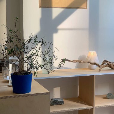 Duvarında ahşap masa, lamba ve saksı bitkileri olan modern oturma odasının içinde..