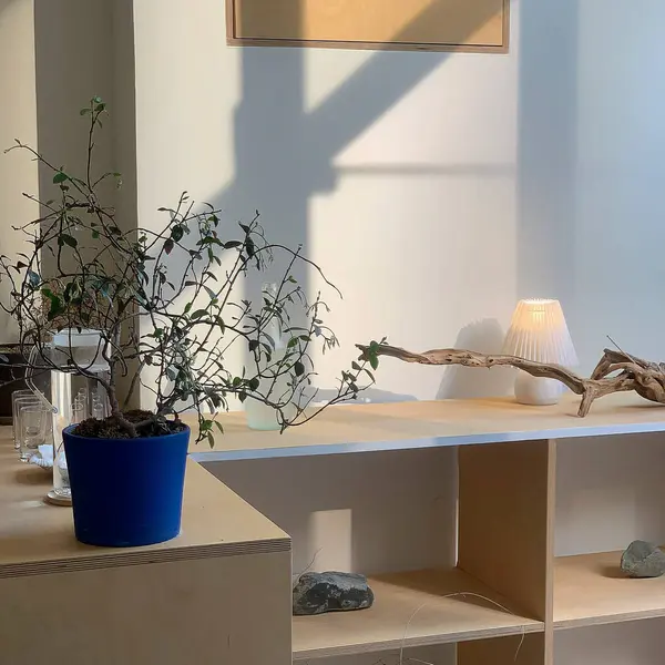 Duvarında ahşap masa, lamba ve saksı bitkileri olan modern oturma odasının içinde..