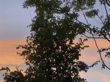 Doğanın güzel manzarası