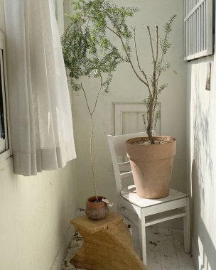 Güzel botanik fotoğrafı, doğal duvar kağıdı.