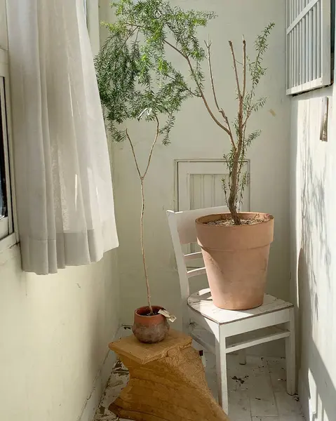 Güzel botanik fotoğrafı, doğal duvar kağıdı.