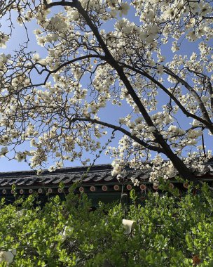 Şehrin güzel manzarası