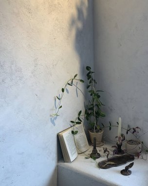 Bir bitki ile güzel beyaz ve mavi bir duvar dikey çekim