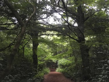Parkın güzel manzarası