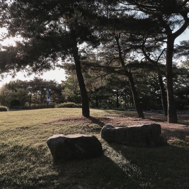 Parkın güzel manzarası