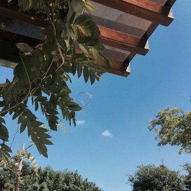 Barselona şehrinin manzarası