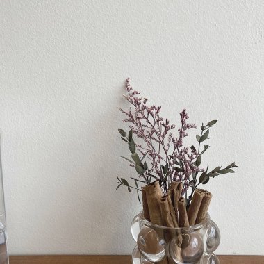 Beyaz arka planda kurumuş çiçekler