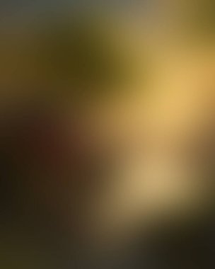 Abstract blur background of colors mixed 