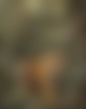 Abstract blur background of colors mixed 