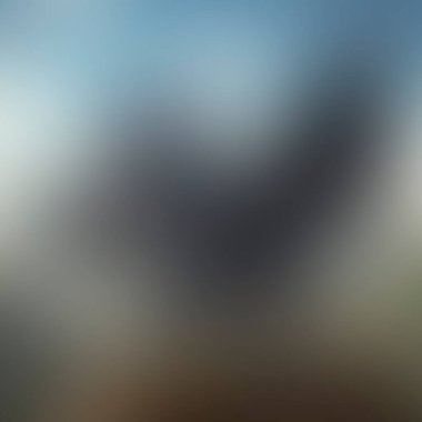 Abstract blur background of colors mixed 