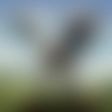 Abstract blur background of colors mixed 