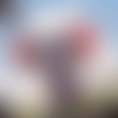 Abstract blur background of colors mixed 