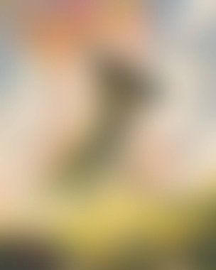 Abstract blur background of colors mixed 