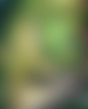 Abstract blur background of colors mixed 