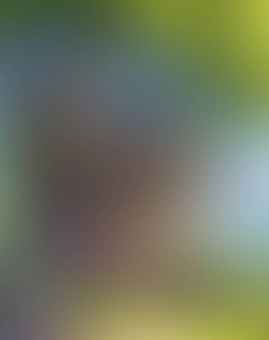 Abstract blur background of colors mixed 