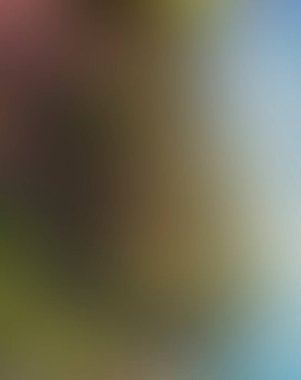 Abstract blur background of colors mixed 