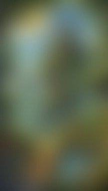 Abstract blur background of colors mixed 