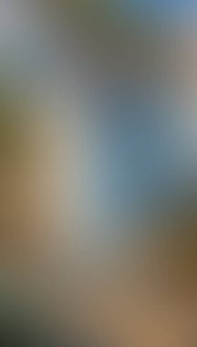 Abstract blur background of colors mixed 