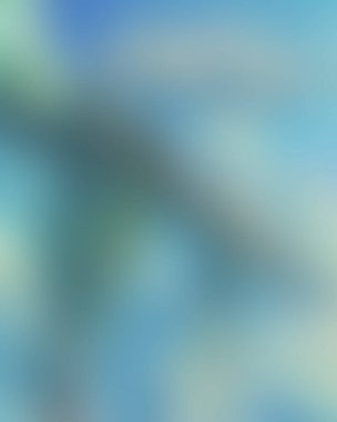 Abstract blur background of colors mixed 