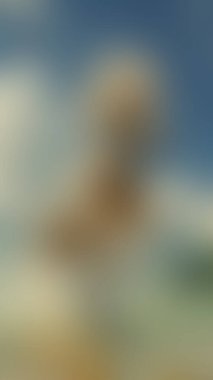 Abstract blur background of colors mixed 