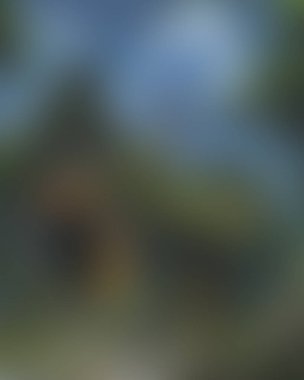 Abstract blur background of colors mixed 