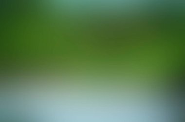 Abstract blur background of colors mixed 