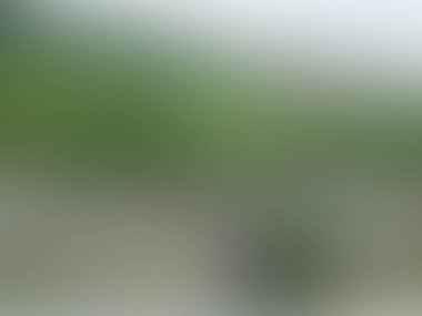 Abstract blur background of colors mixed 