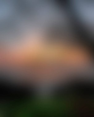 Abstract blur background of colors mixed 