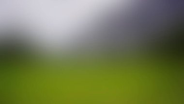 Abstract blur background of colors mixed 