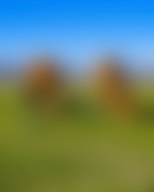 Abstract blur background of colors mixed 