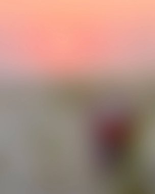 Abstract blur background of colors mixed 