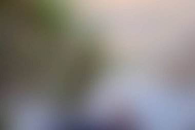 Abstract blur background of colors mixed 