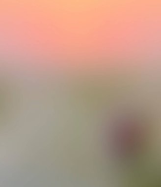 Abstract blur background of colors mixed 