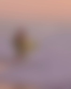 Abstract blur background of colors mixed 