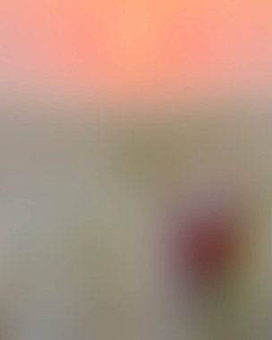 Abstract blur background of colors mixed 