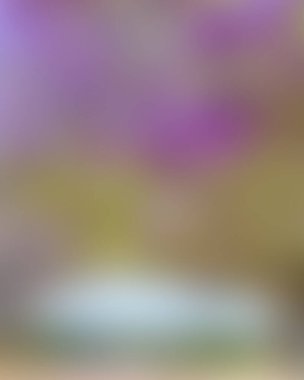 Abstract blur background of colors mixed 