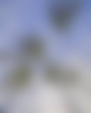 Abstract blur background of colors mixed 